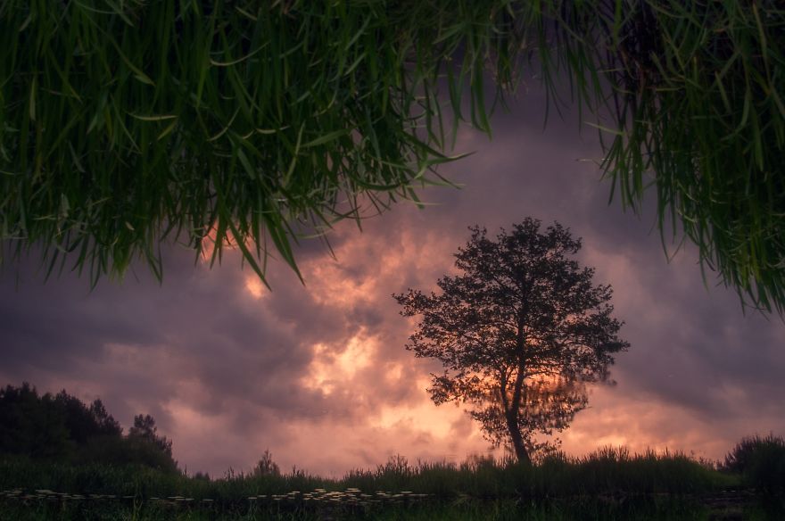 I Took Unique Photographs Of Polish Landscapes In The Closest And Barely Known Landscape Park