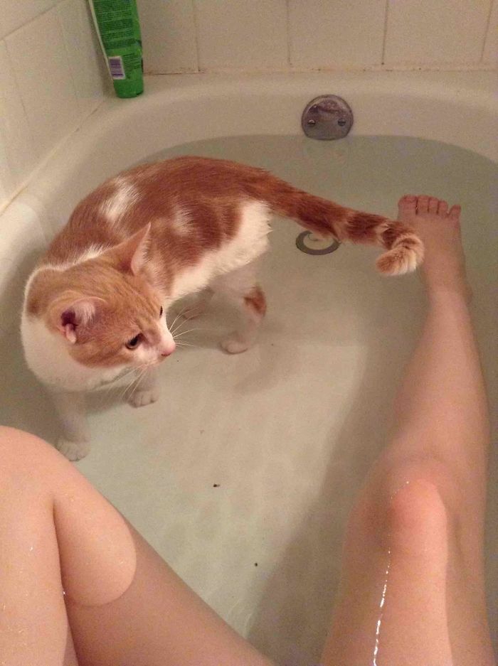 Share Pictures Of Your Pets Having A Bath