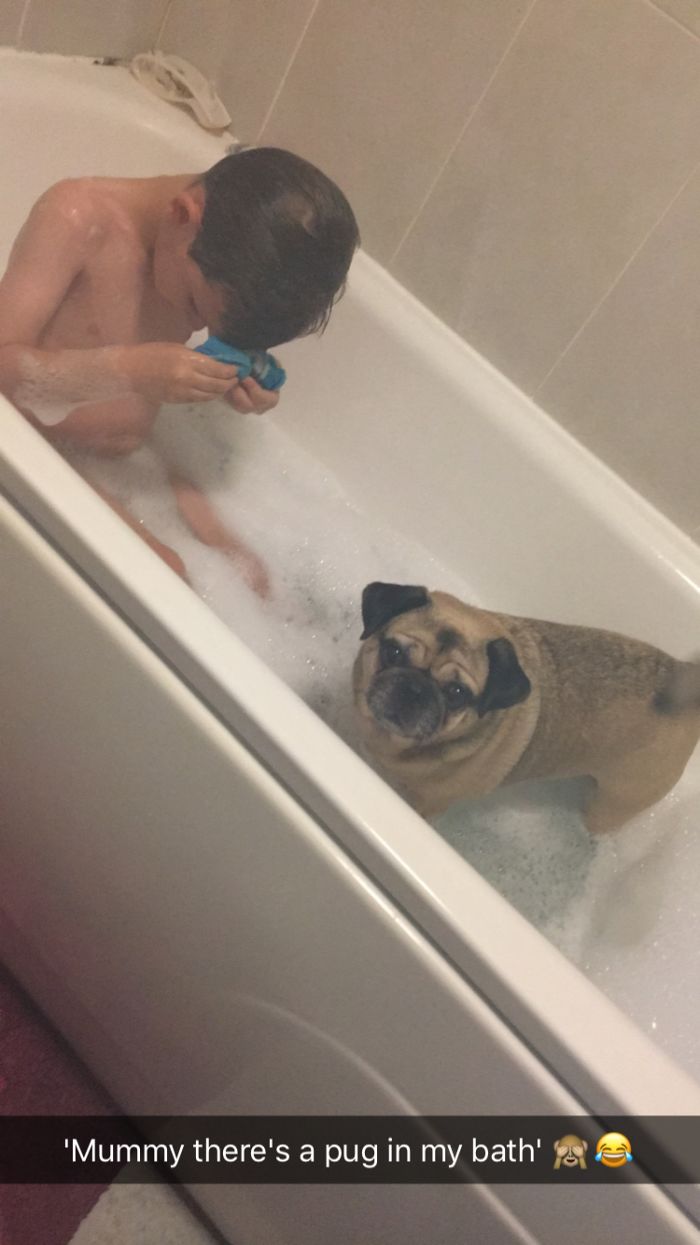 Share Pictures Of Your Pets Having A Bath