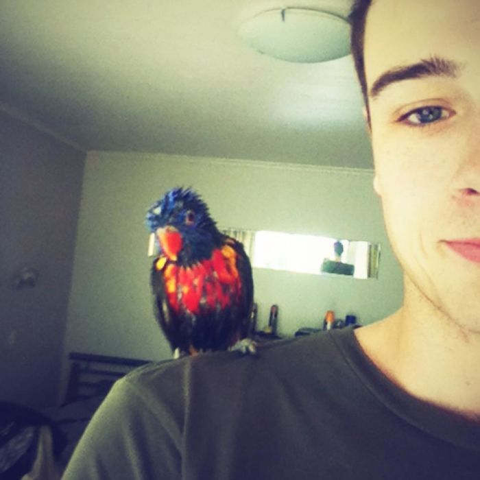 Share Pictures Of Your Pets Having A Bath