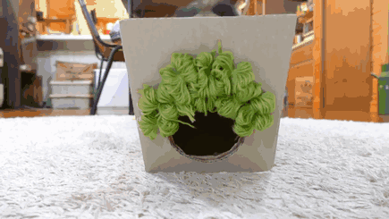 Maru The Cat Accidentally Tries On Different Wigs After His Owner Builds A Box Trap, And It&#8217;s Hilarious (+Video)