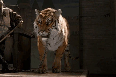 You&#8217;ll Never Look At &#8220;The Walking Dead&#8221; Tiger The Same After You See This