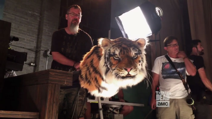 You&#8217;ll Never Look At &#8220;The Walking Dead&#8221; Tiger The Same After You See This