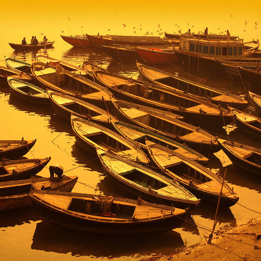 India’s Holy River And Its Inhabitants India’s Holy River And Its Inhabitants