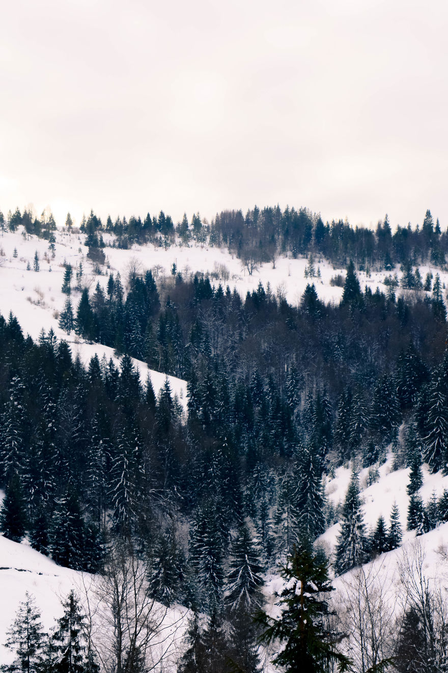 Beautiful Winter Around Us Beautiful Winter Around Us