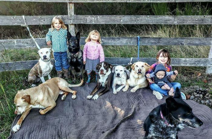 People Living With More Than 2 Dogs, Post Your Pics Of What It’s Like People Living With More Than 2 Dogs, Post Your Pics Of What It’s Like