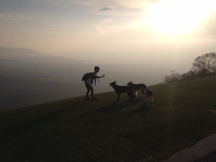 People Living With More Than 2 Dogs, Post Your Pics Of What It’s Like People Living With More Than 2 Dogs, Post Your Pics Of What It’s Like