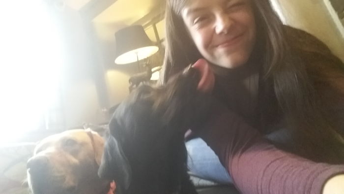 People Living With More Than 2 Dogs, Post Your Pics Of What It’s Like People Living With More Than 2 Dogs, Post Your Pics Of What It’s Like