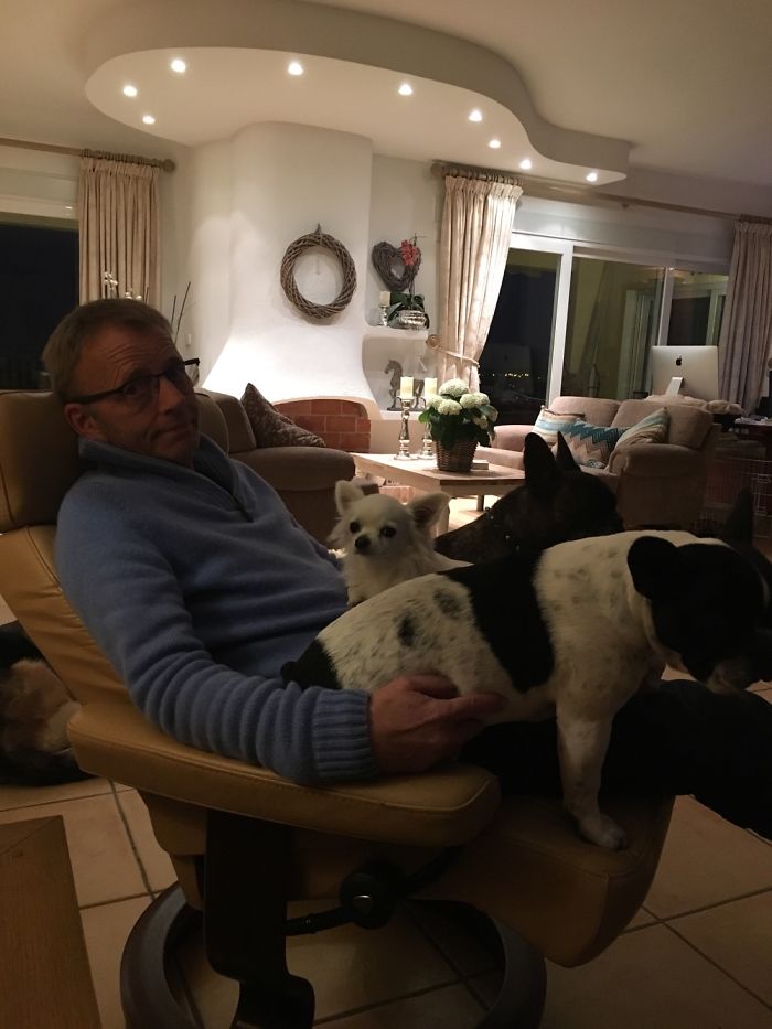 People Living With More Than 2 Dogs, Post Your Pics Of What It’s Like People Living With More Than 2 Dogs, Post Your Pics Of What It’s Like