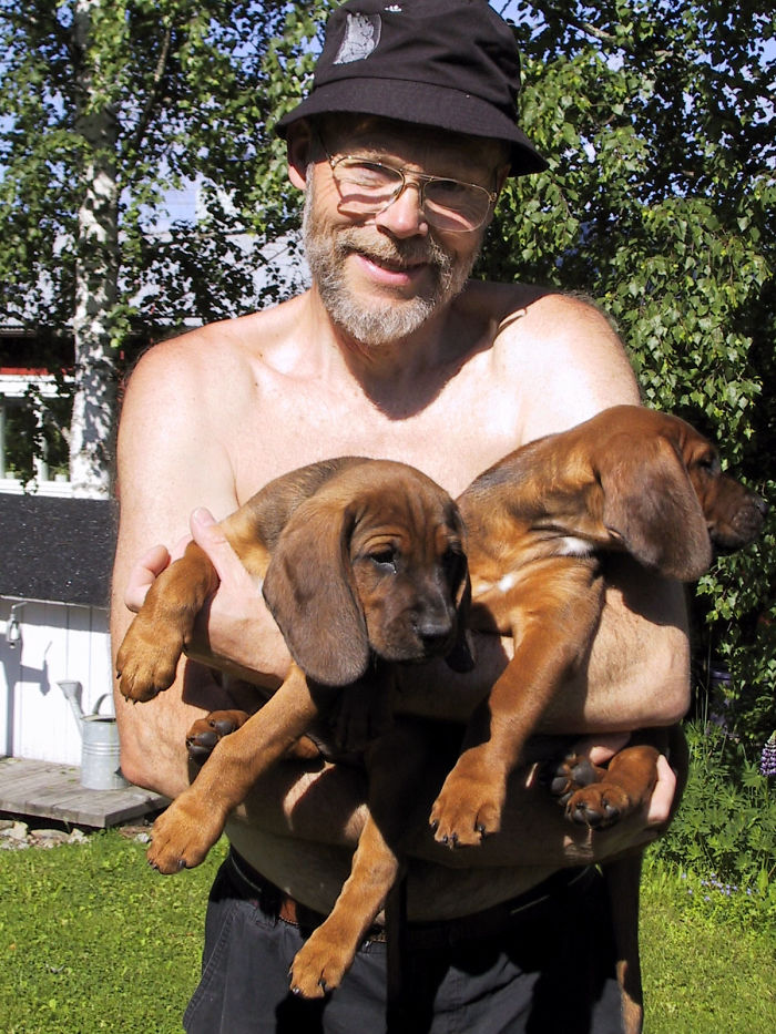 People Living With More Than 2 Dogs, Post Your Pics Of What It’s Like People Living With More Than 2 Dogs, Post Your Pics Of What It’s Like