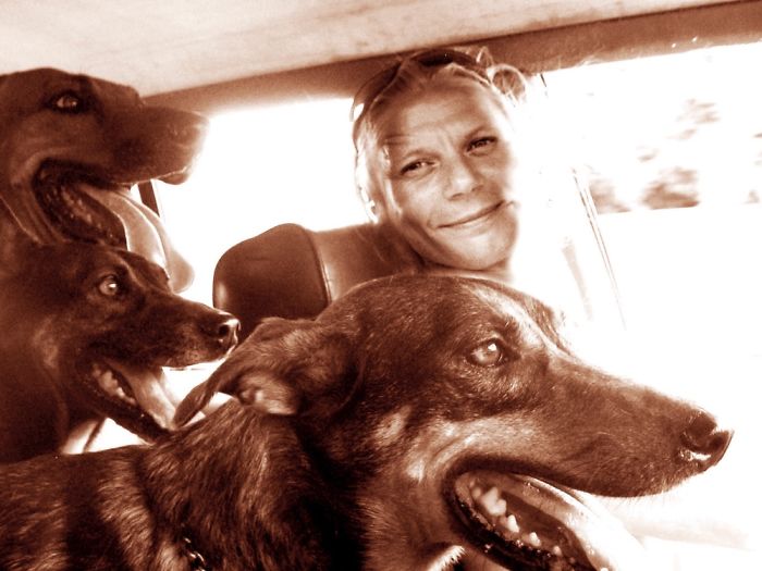 People Living With More Than 2 Dogs, Post Your Pics Of What It’s Like People Living With More Than 2 Dogs, Post Your Pics Of What It’s Like