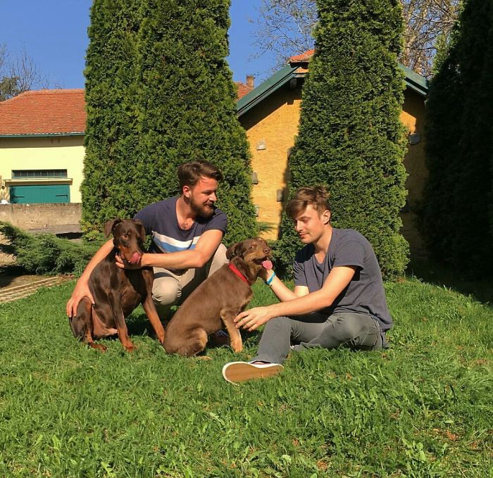 People Living With More Than 2 Dogs, Post Your Pics Of What It’s Like People Living With More Than 2 Dogs, Post Your Pics Of What It’s Like