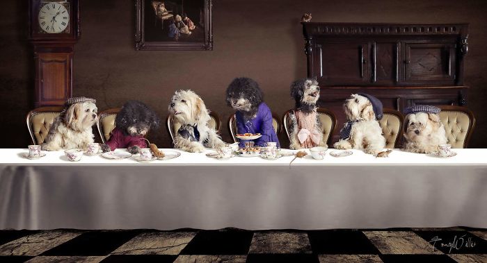 People Living With More Than 2 Dogs, Post Your Pics Of What It’s Like People Living With More Than 2 Dogs, Post Your Pics Of What It’s Like