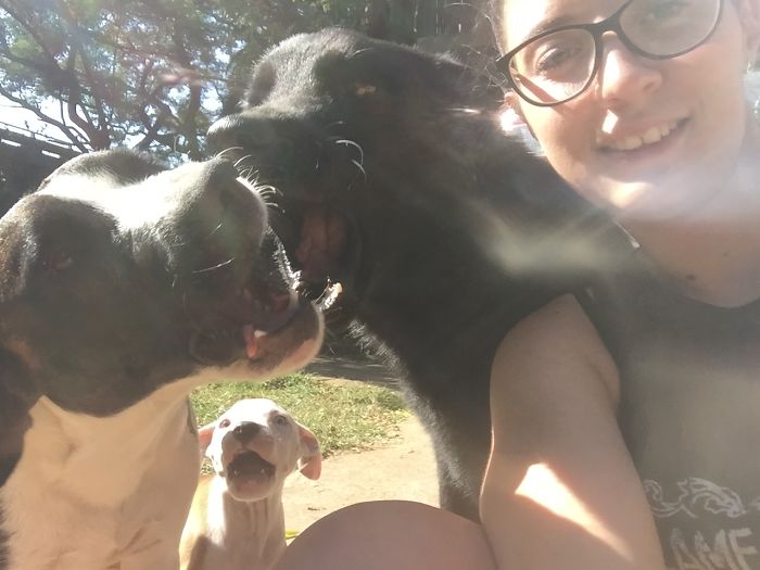 People Living With More Than 2 Dogs, Post Your Pics Of What It’s Like People Living With More Than 2 Dogs, Post Your Pics Of What It’s Like