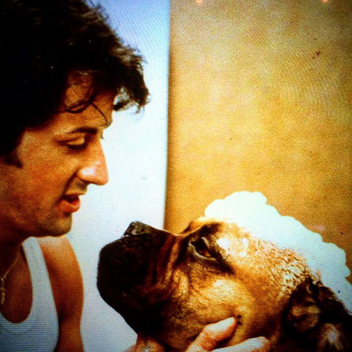 Sylvester Stallone Just Shared A Tribute To His Old Dog, And It’s Absolutely Beautiful