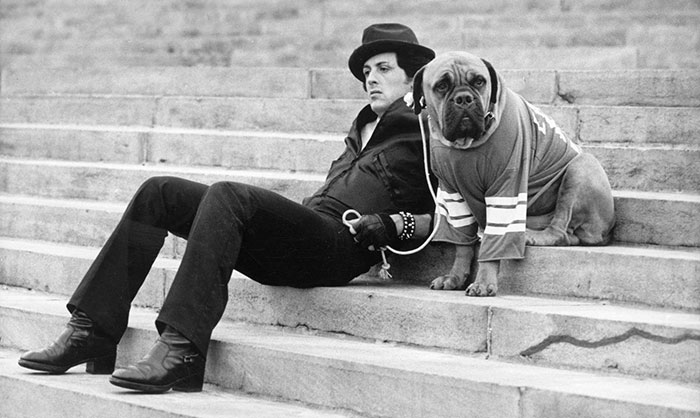 Sylvester Stallone Just Shared A Tribute To His Old Dog, And It’s Absolutely Beautiful
