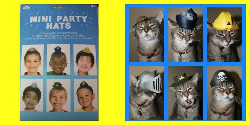 This Cat Enjoys Dressing Up!