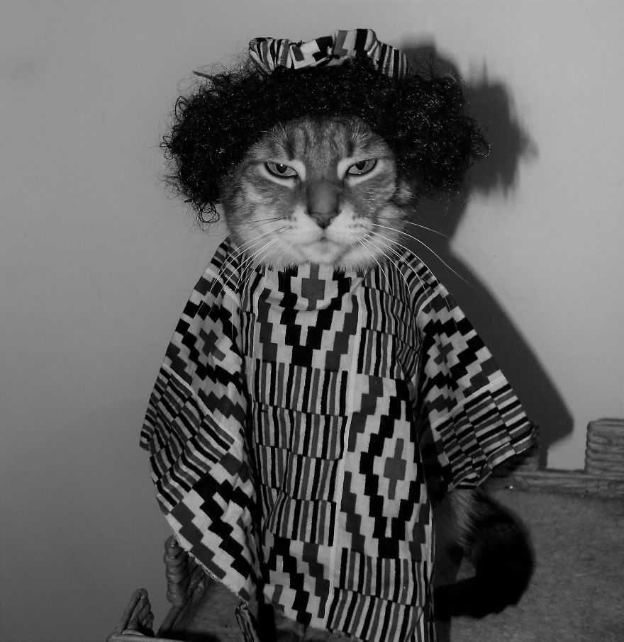 This Cat Enjoys Dressing Up!
