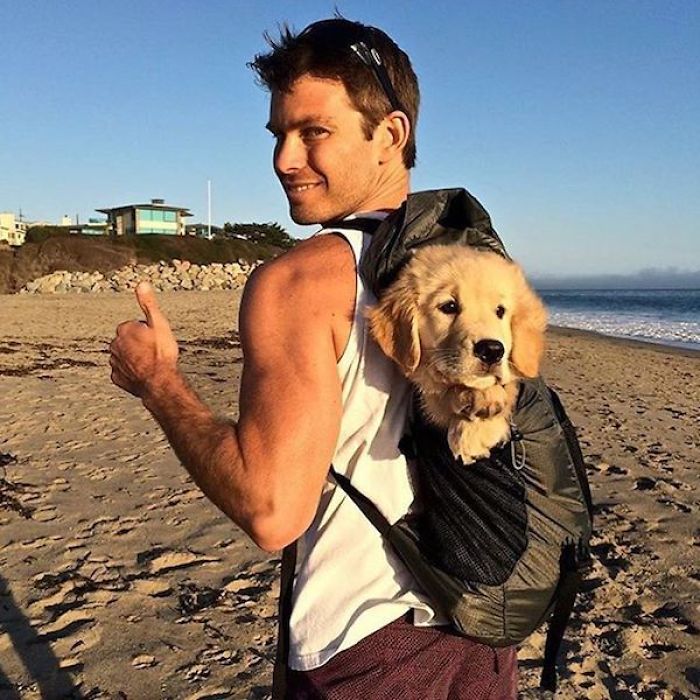 This Instagram Of Hot Dudes With Dogs Brings Two Of Our Favorite Things Together