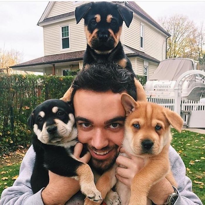 This Instagram Of Hot Dudes With Dogs Brings Two Of Our Favorite Things Together