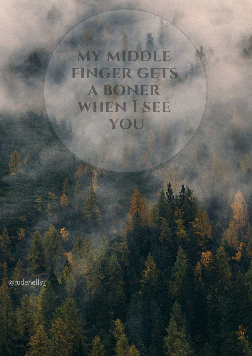 I Made Rude Pictures For My Rude Friends