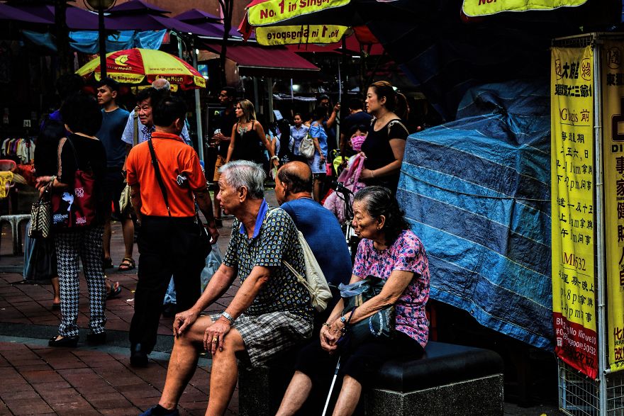 The Organism Called Singapore In 5 Photos The Organism Called Singapore In 5 Photos