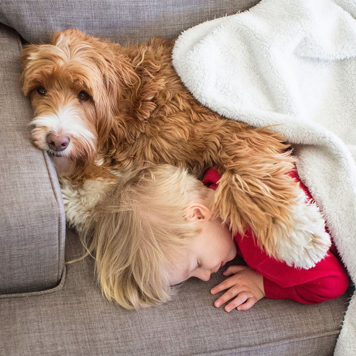 110 Pics That Prove Dogs Are Better Than A Pillow 110 Pics That Prove Dogs Are Better Than A Pillow