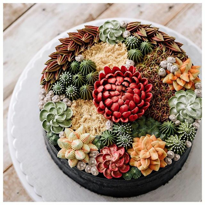 Succulent Cakes By Ivenoven Will Make Every Succulent Lover’s Mouth Water Succulent Cakes By Ivenoven Will Make Every Succulent Lover’s Mouth Water