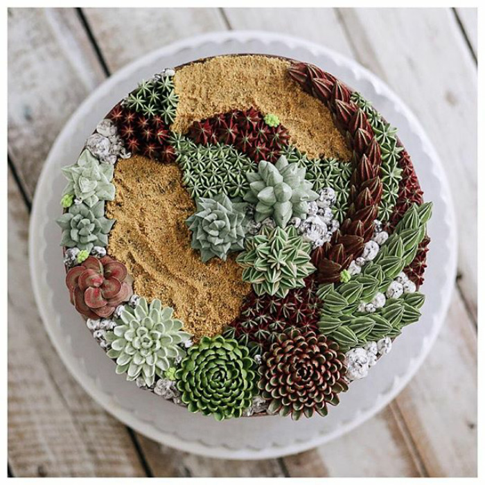 Succulent Cakes By Ivenoven Will Make Every Succulent Lover’s Mouth Water Succulent Cakes By Ivenoven Will Make Every Succulent Lover’s Mouth Water