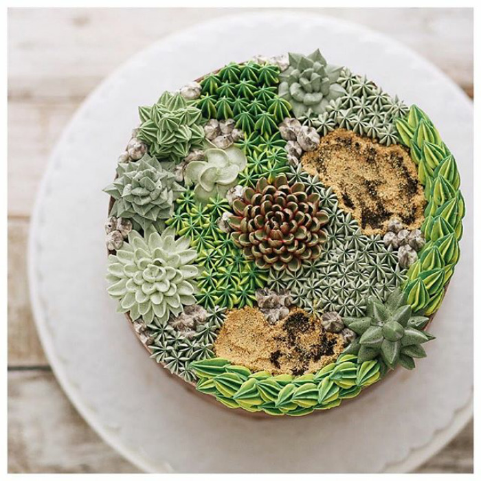 Succulent Cakes By Ivenoven Will Make Every Succulent Lover’s Mouth Water Succulent Cakes By Ivenoven Will Make Every Succulent Lover’s Mouth Water
