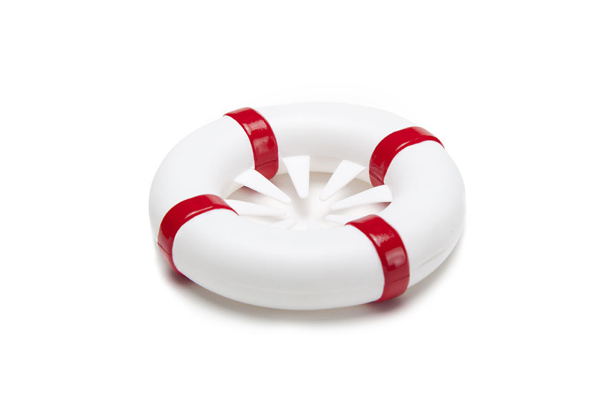 Your Avocado Seed Will Grow Safely Into A Beautiful Tree With Our New Product! Your Avocado Seed Will Grow Safely Into A Beautiful Tree With Our New Product!