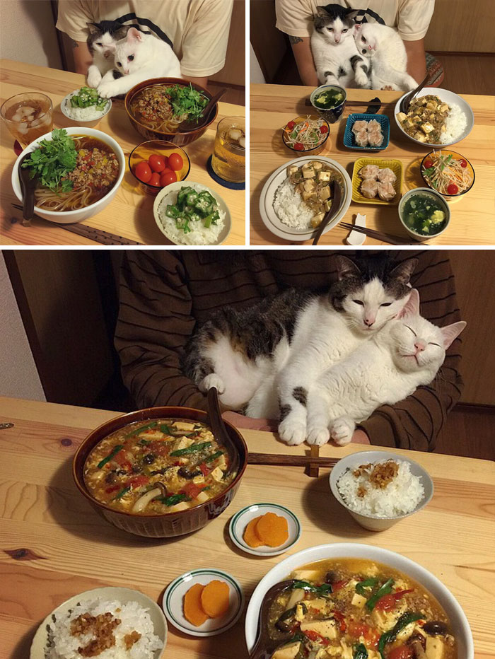 74 Photos Of True Love That Will Give You Butterflies 74 Photos Of True Love That Will Give You Butterflies