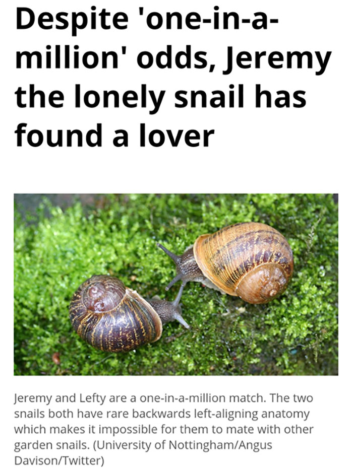 74 Photos Of True Love That Will Give You Butterflies 74 Photos Of True Love That Will Give You Butterflies