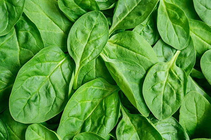 Scientists Transform Spinach Leaves Into Working Human Heart Tissue