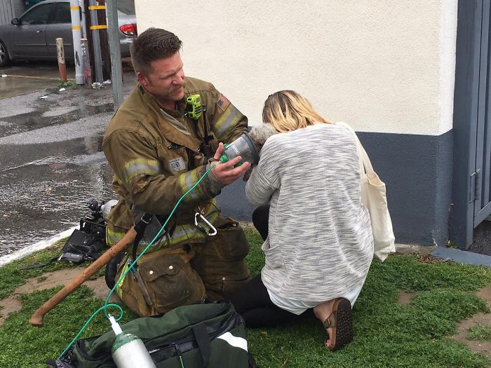 Firefighter Won&#8217;t Let This Dog Die After Pulling Him From A Burning Home, Performs Mouth-To-Mouth