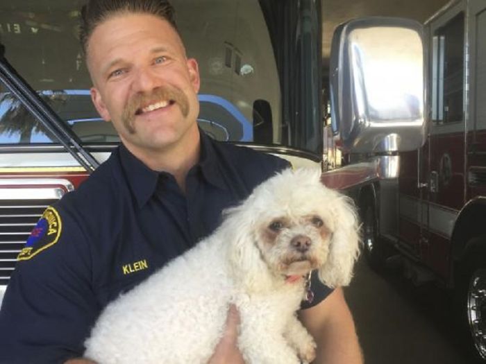Firefighter Won&#8217;t Let This Dog Die After Pulling Him From A Burning Home, Performs Mouth-To-Mouth