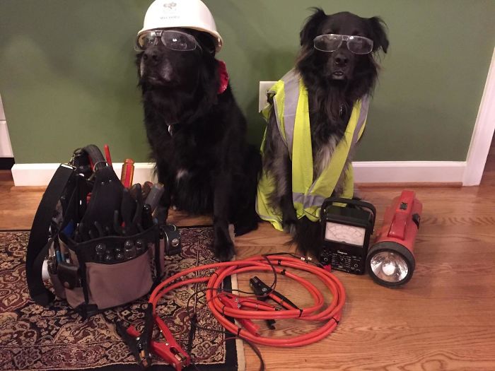 192 Times Dads Took Their Jokes To Another Level