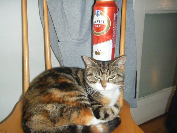 192 Times Dads Took Their Jokes To Another Level