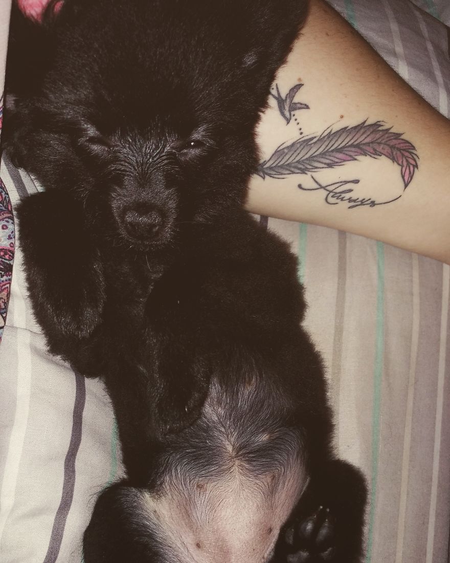 My Name Is Gizmo. No, Not The Gremlin