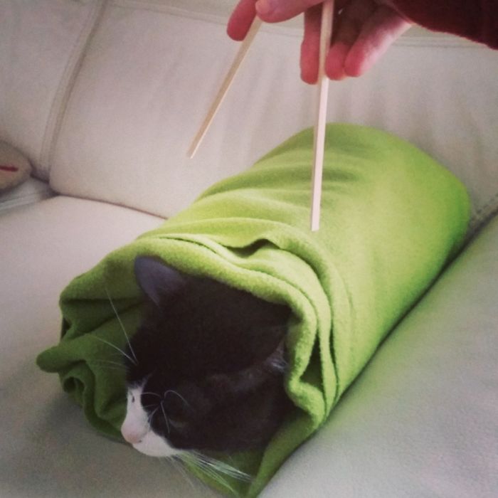 Do You Like Annoying Your Pets (Mildly)? (Add yours) Do You Like Annoying Your Pets (Mildly)? (Add yours)