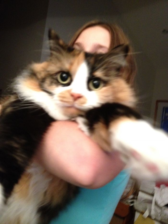 Do You Like Annoying Your Pets (Mildly)? (Add yours) Do You Like Annoying Your Pets (Mildly)? (Add yours)