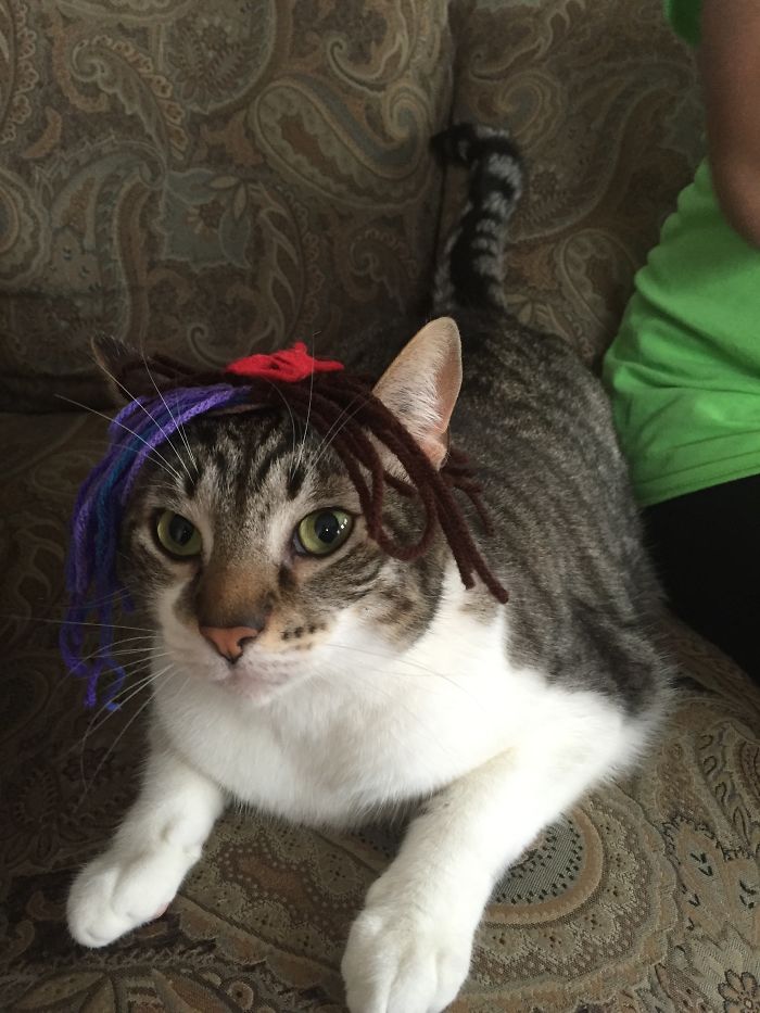 Do You Like Annoying Your Pets (Mildly)? (Add yours) Do You Like Annoying Your Pets (Mildly)? (Add yours)