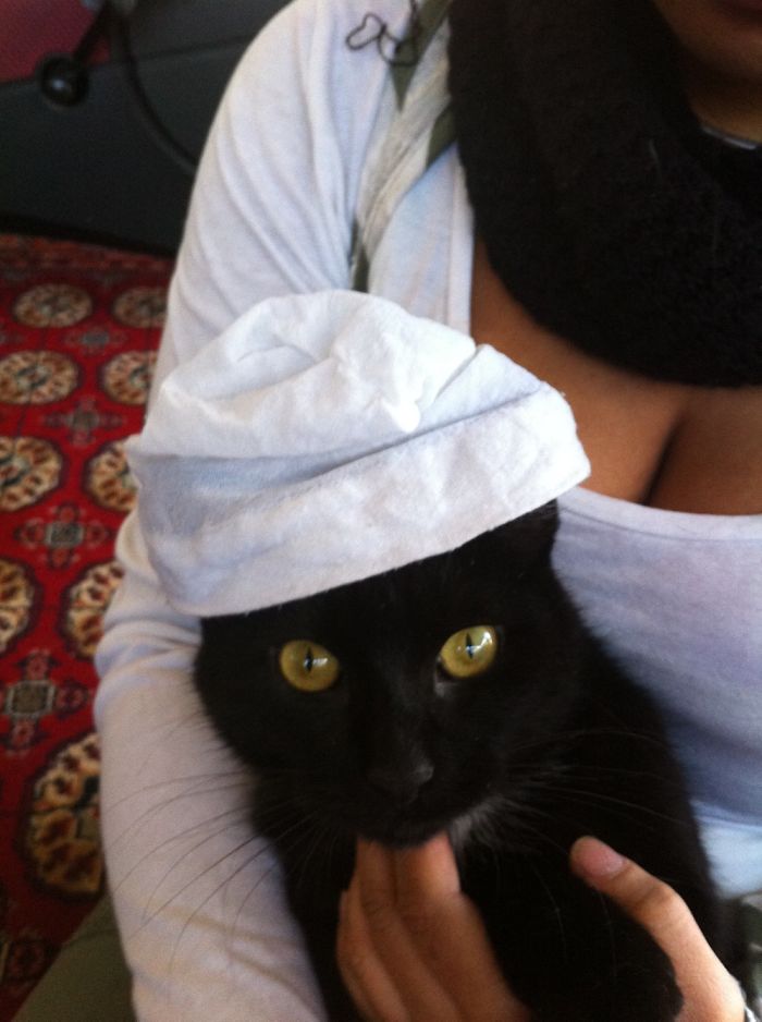 Do You Like Annoying Your Pets (Mildly)? (Add yours) Do You Like Annoying Your Pets (Mildly)? (Add yours)