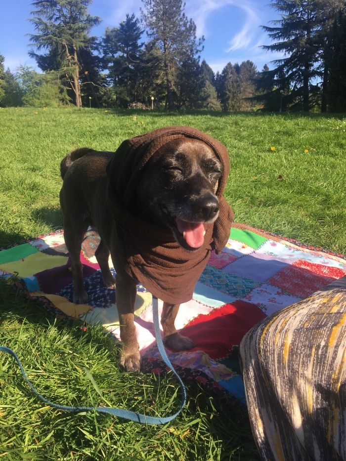 Do You Like Annoying Your Pets (Mildly)? (Add yours) Do You Like Annoying Your Pets (Mildly)? (Add yours)