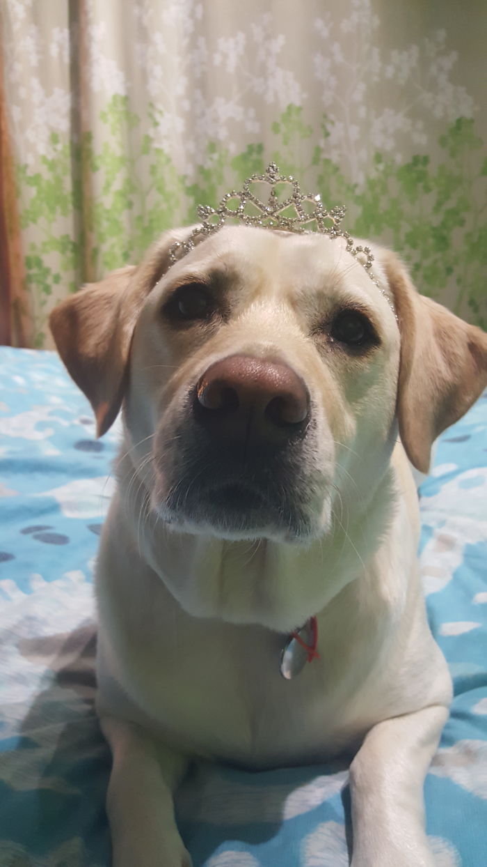 Do You Like Annoying Your Pets (Mildly)? (Add yours) Do You Like Annoying Your Pets (Mildly)? (Add yours)