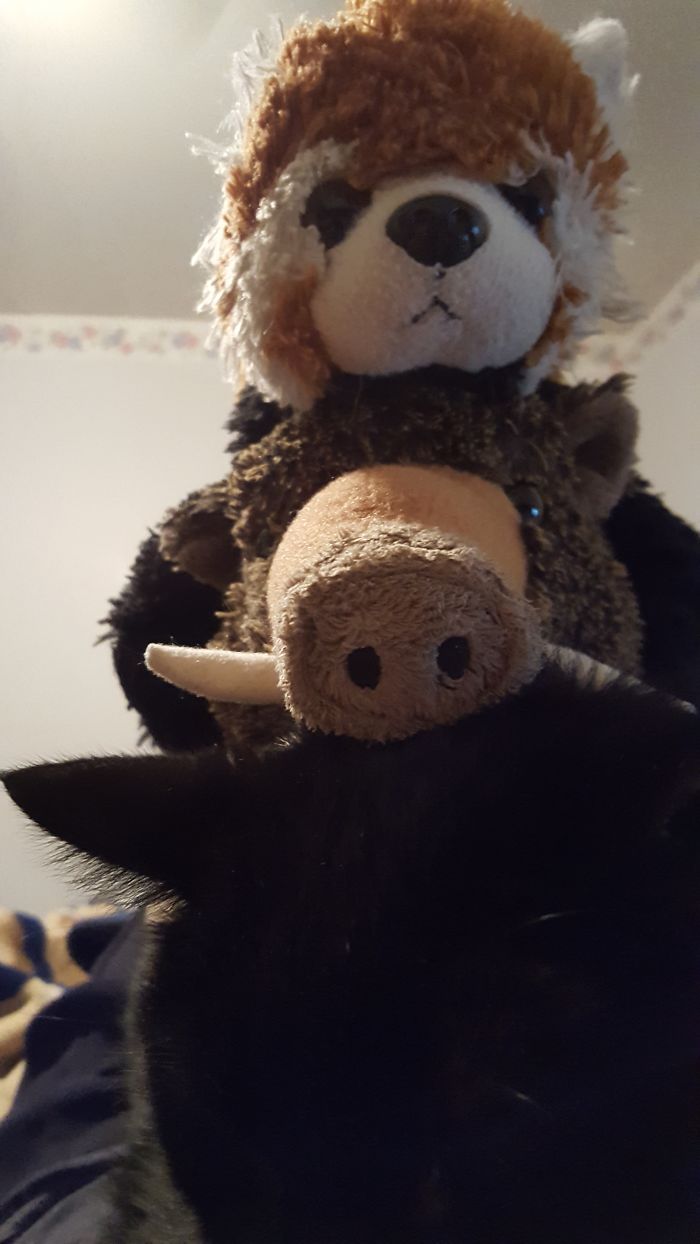 Do You Like Annoying Your Pets (Mildly)? (Add yours) Do You Like Annoying Your Pets (Mildly)? (Add yours)