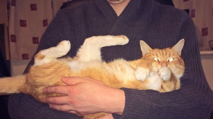 Do You Like Annoying Your Pets (Mildly)? (Add yours) Do You Like Annoying Your Pets (Mildly)? (Add yours)