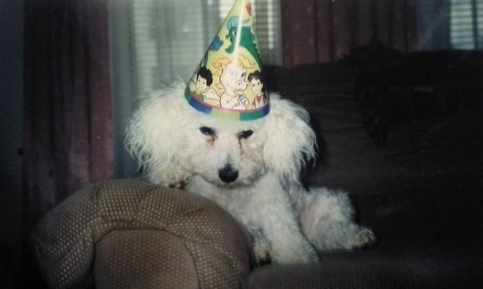 Do You Like Annoying Your Pets (Mildly)? (Add yours) Do You Like Annoying Your Pets (Mildly)? (Add yours)