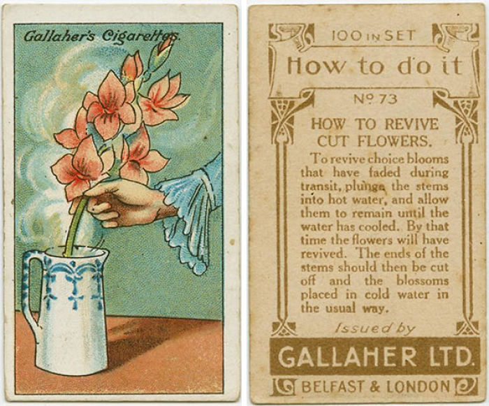 100-Year-Old Life Hacks That Are Surprisingly Useful Today 100-Year-Old Life Hacks That Are Surprisingly Useful Today