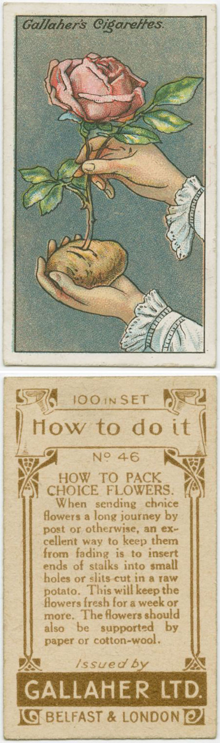 100-Year-Old Life Hacks That Are Surprisingly Useful Today 100-Year-Old Life Hacks That Are Surprisingly Useful Today
